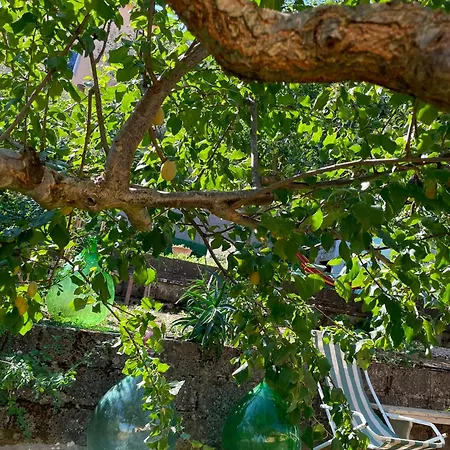 B&B L'oasi Nel Centro 3*